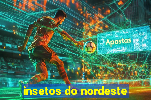 insetos do nordeste